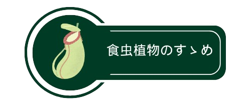 食虫植物のすゝめ