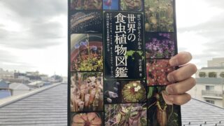 IMG_0057-320x180.jpeg
